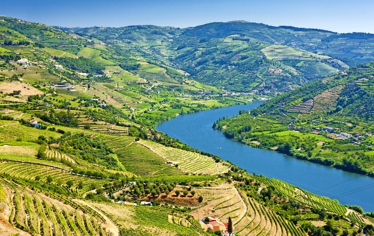 Weinreben im Douro-Tal, Portugal - © PHB.cz - stock.adobe.com