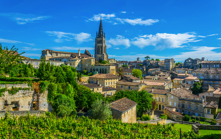 Luftaufnahme des französischen Dorfes Saint Emilion - ©dudlajzov - stock.adobe.com