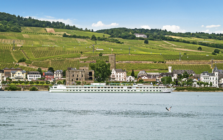 MS Leonardo da Vinci - 134678©CroisiEurope