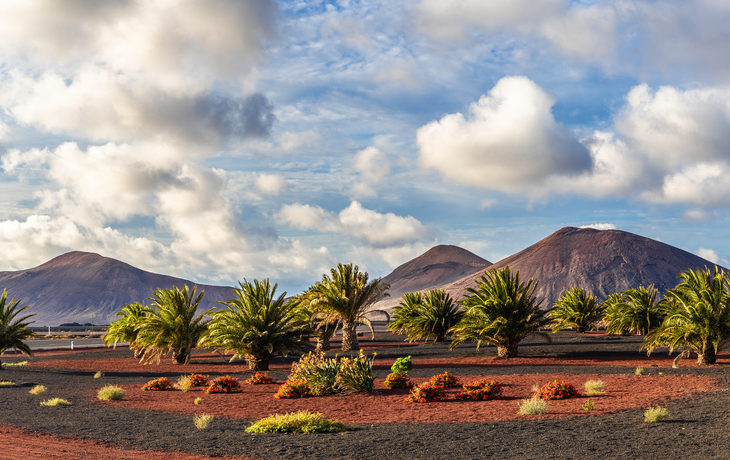 Nationalpark Timanfaya - © Serenity-H - stock.adobe.com