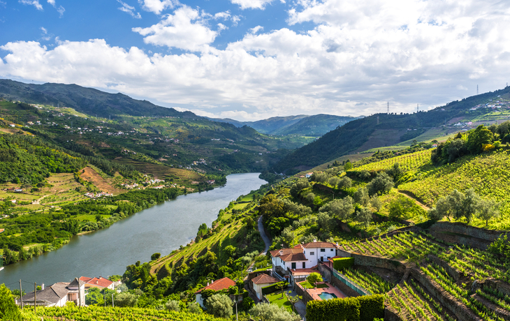 Weinberge im Douro Tal - © Simon Dannhauer - stock.adobe.com