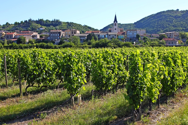 Tain-l'Hermitage in der Côtes du Rhône  - © into the wild - stock.adobe.com