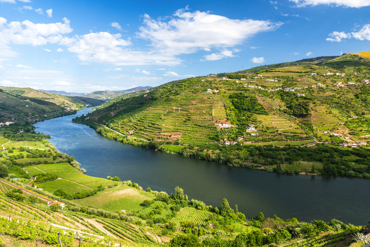 Landschaft des Duero-Flusses in Portugal - ©Simon Dannhauer - stock.adobe.com