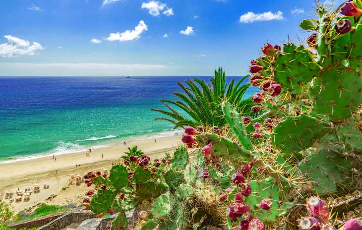 Strand von Esquinzo auf Fuerteventura - ©stylefoto24 - stock.adobe.com